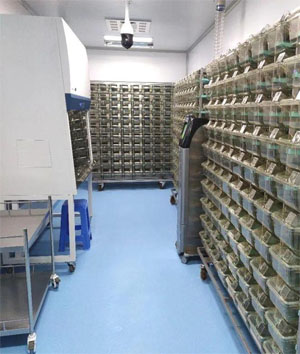 苏州动物房装修公司